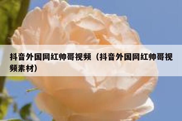 抖音外国网红帅哥视频（抖音外国网红帅哥视频素材） 第1张