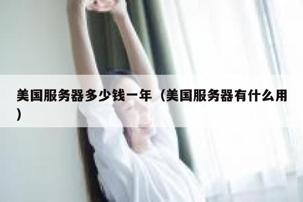 美国服务器多少钱一年（美国服务器有什么用） 第1张