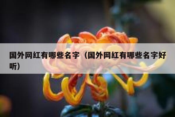 国外网红有哪些名字（国外网红有哪些名字好听） 第1张