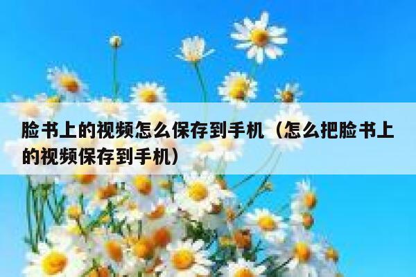 脸书上的视频怎么保存到手机（怎么把脸书上的视频保存到手机） 第1张