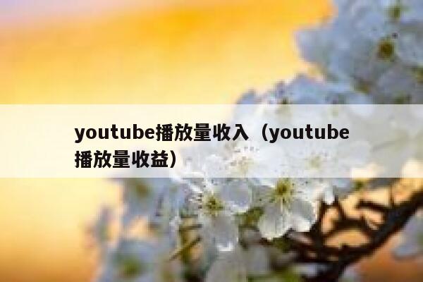 youtube播放量收入（youtube播放量收益） 第1张