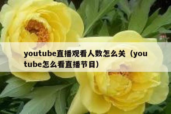 youtube直播观看人数怎么关（youtube怎么看直播节目） 第1张