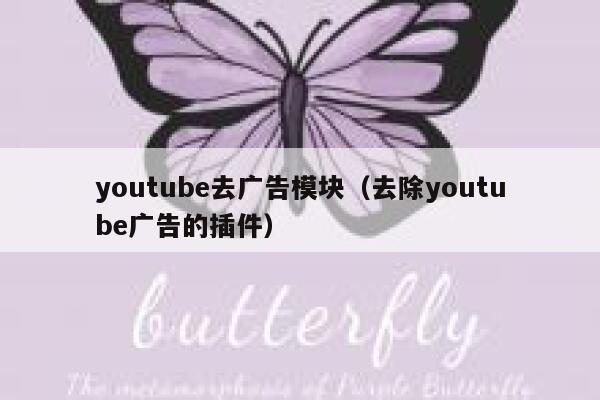 youtube去广告模块（去除youtube广告的插件） 第1张