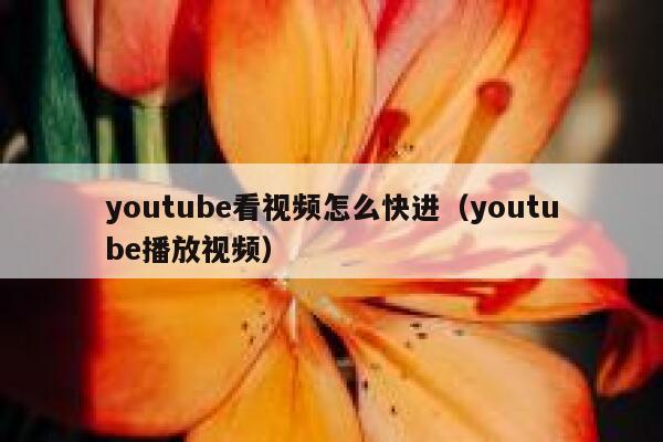 youtube看视频怎么快进（youtube播放视频） 第1张