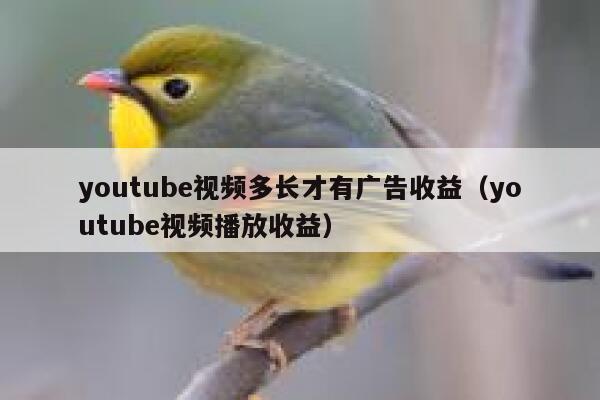 youtube视频多长才有广告收益（youtube视频播放收益） 第1张
