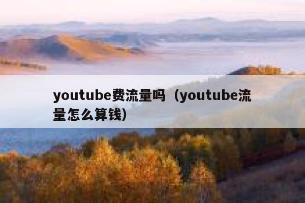 youtube费流量吗（youtube流量怎么算钱） 第1张