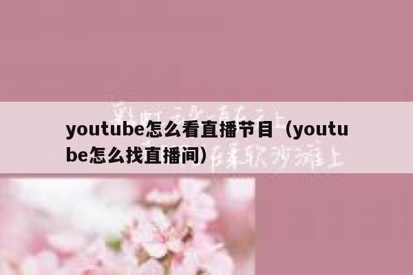 youtube怎么看直播节目（youtube怎么找直播间） 第1张