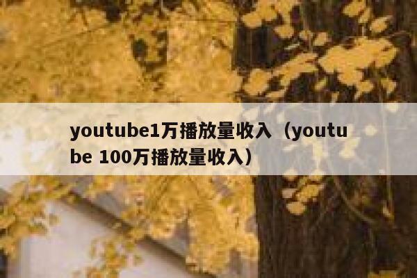 youtube1万播放量收入（youtube 100万播放量收入） 第1张