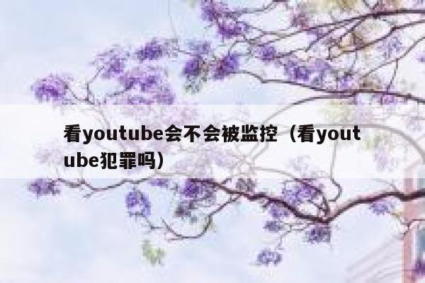 看youtube会不会被监控（看youtube犯罪吗） 第1张