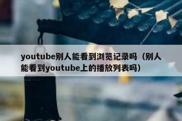youtube别人能看到浏览记录吗（别人能看到youtube上的播放列表吗） 第1张