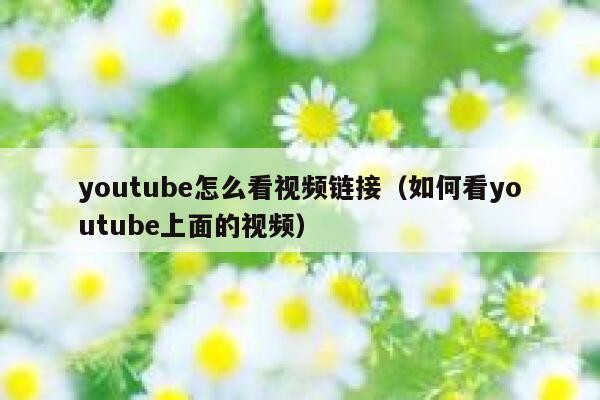 youtube怎么看视频链接（如何看youtube上面的视频） 第1张