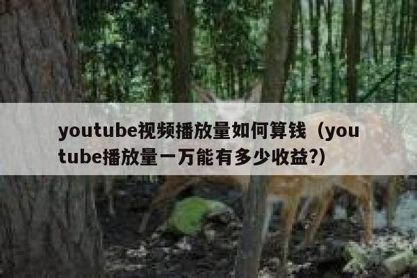youtube视频播放量如何算钱（youtube播放量一万能有多少收益?） 第1张