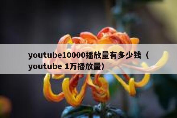 youtube10000播放量有多少钱（youtube 1万播放量） 第1张