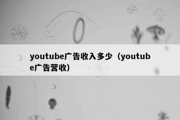 youtube广告收入多少（youtube广告营收） 第1张