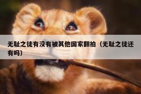 无耻之徒有没有被其他国家翻拍（无耻之徒还有吗） 第1张