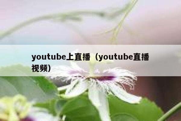 youtube上直播（youtube直播视频） 第1张