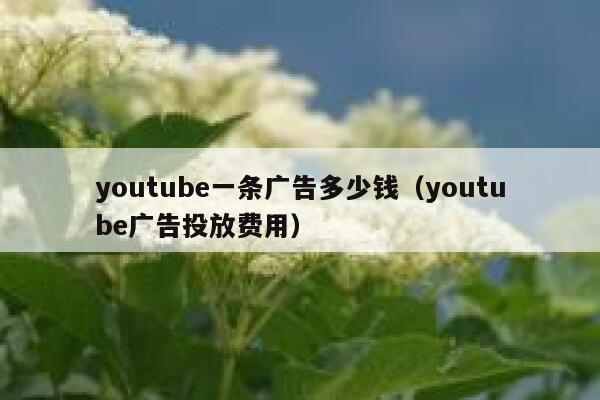 youtube一条广告多少钱（youtube广告投放费用） 第1张