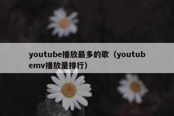 youtube播放最多的歌（youtubemv播放量排行） 第1张