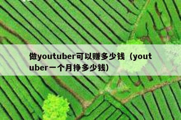 做youtuber可以赚多少钱（youtuber一个月挣多少钱） 第1张