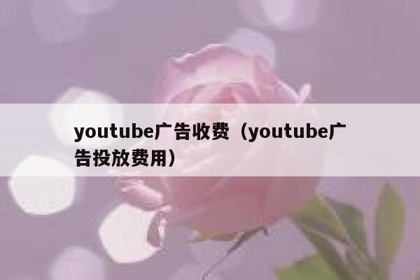 youtube广告收费（youtube广告投放费用） 第1张