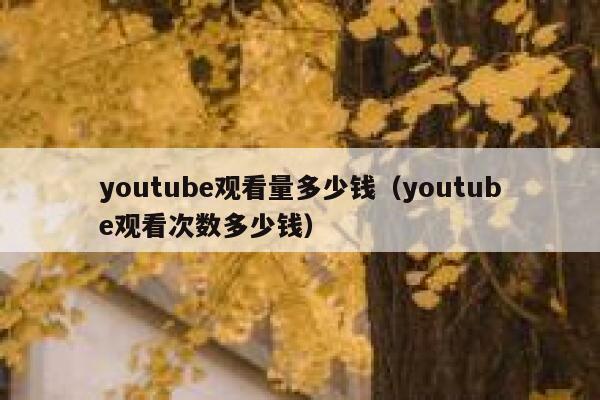 youtube观看量多少钱（youtube观看次数多少钱） 第1张