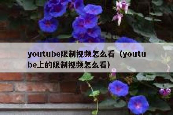 youtube限制视频怎么看（youtube上的限制视频怎么看） 第1张
