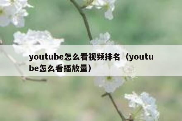 youtube怎么看视频排名（youtube怎么看播放量） 第1张