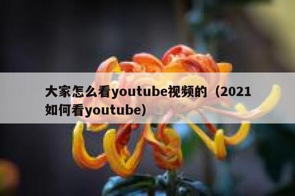 大家怎么看youtube视频的（2021如何看youtube） 第1张