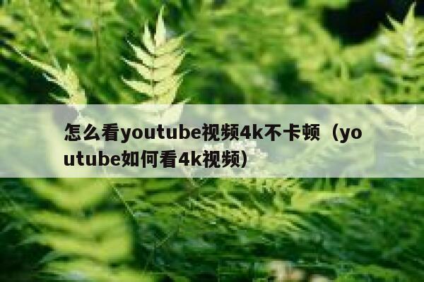 怎么看youtube视频4k不卡顿（youtube如何看4k视频） 第1张