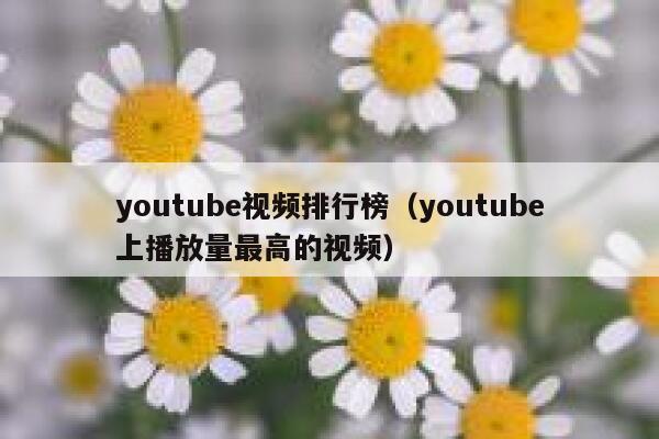 youtube视频排行榜（youtube上播放量最高的视频） 第1张