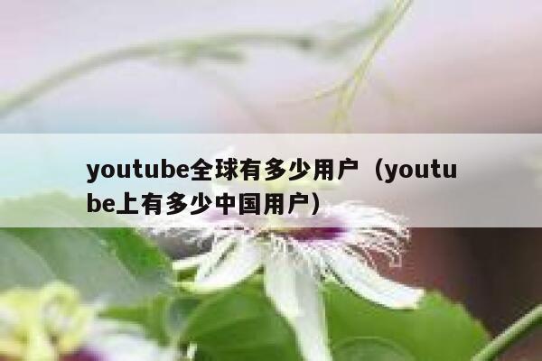 youtube全球有多少用户（youtube上有多少中国用户） 第1张