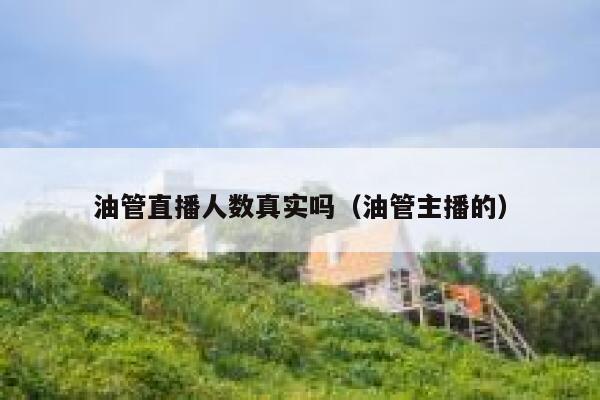 油管直播人数真实吗（油管主播的） 第1张