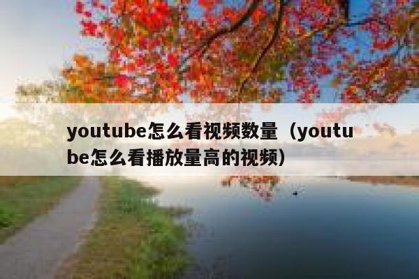 youtube怎么看视频数量（youtube怎么看播放量高的视频） 第1张