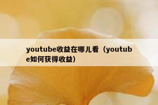 youtube收益在哪儿看（youtube如何获得收益） 第1张