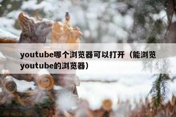 youtube哪个浏览器可以打开（能浏览youtube的浏览器） 第1张