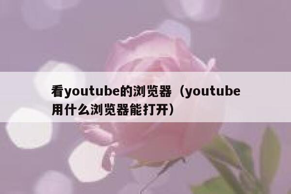 看youtube的浏览器（youtube用什么浏览器能打开） 第1张