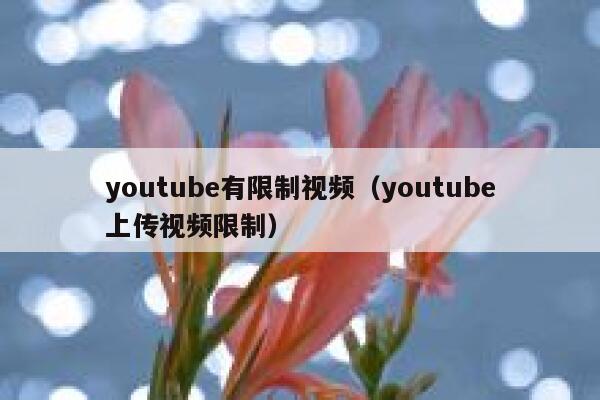 youtube有限制视频（youtube上传视频限制） 第1张