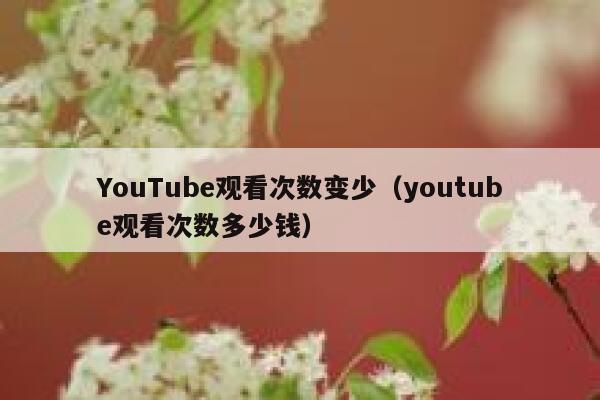 YouTube观看次数变少（youtube观看次数多少钱） 第1张