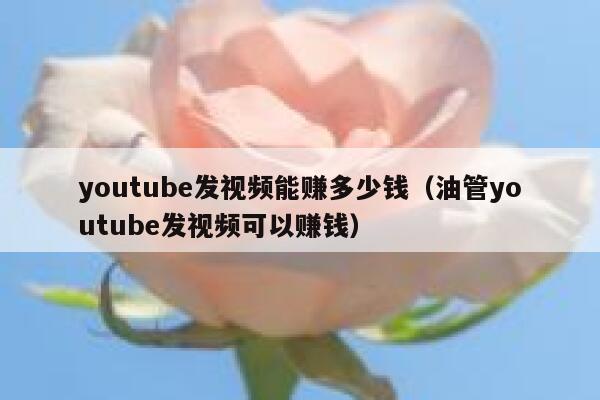 youtube发视频能赚多少钱（油管youtube发视频可以赚钱） 第1张