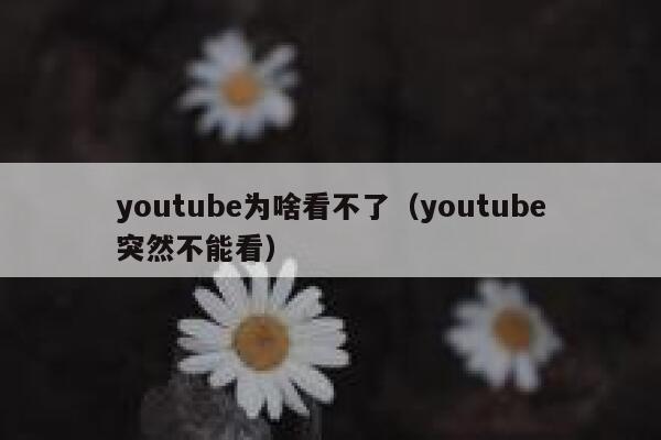 youtube为啥看不了（youtube突然不能看） 第1张
