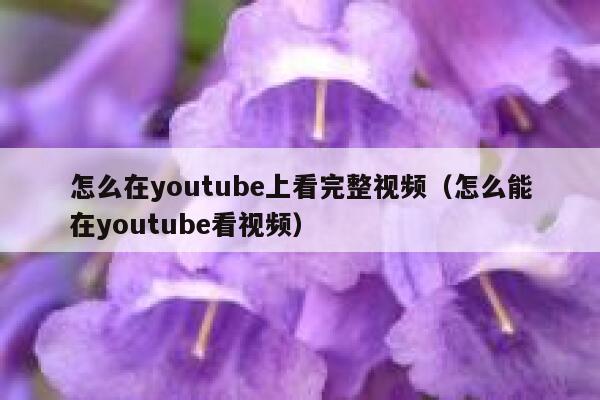 怎么在youtube上看完整视频（怎么能在youtube看视频） 第1张