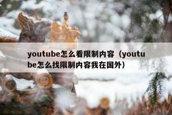 youtube怎么看限制内容（youtube怎么找限制内容我在国外） 第1张