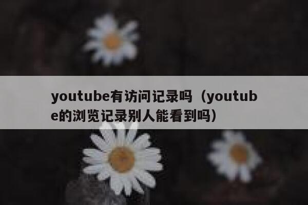 youtube有访问记录吗（youtube的浏览记录别人能看到吗） 第1张