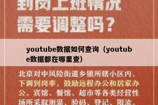 youtube数据如何查询（youtube数据都在哪里查） 第1张