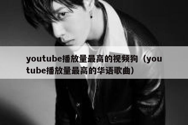youtube播放量最高的视频狗（youtube播放量最高的华语歌曲） 第1张
