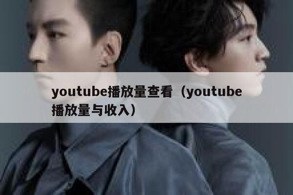 youtube播放量查看（youtube播放量与收入） 第1张
