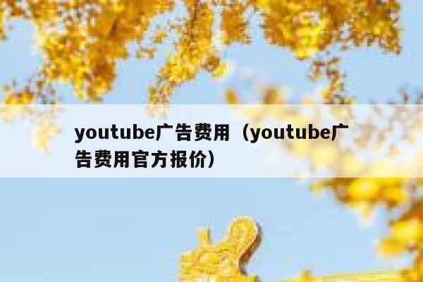 youtube广告费用（youtube广告费用官方报价） 第1张