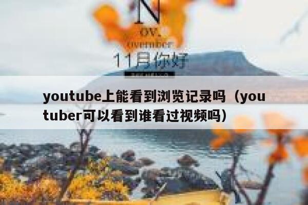 youtube上能看到浏览记录吗（youtuber可以看到谁看过视频吗） 第1张