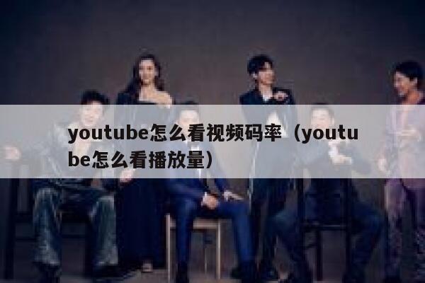 youtube怎么看视频码率（youtube怎么看播放量） 第1张