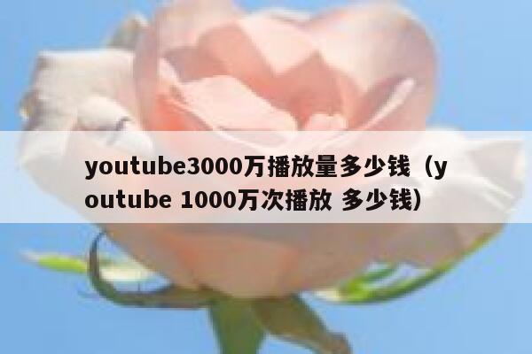 youtube3000万播放量多少钱（youtube 1000万次播放 多少钱） 第1张